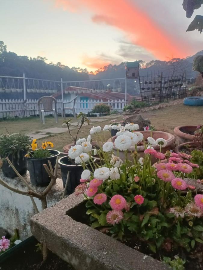Mohraj Home Stay Bhowali 외부 사진