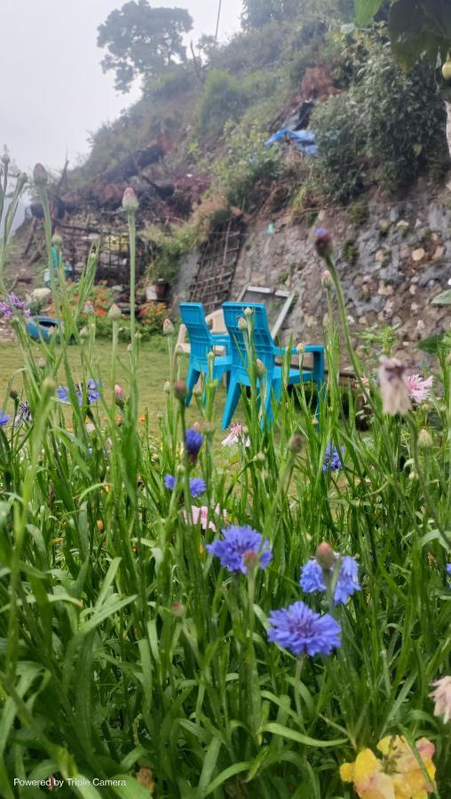 Mohraj Home Stay Bhowali 외부 사진