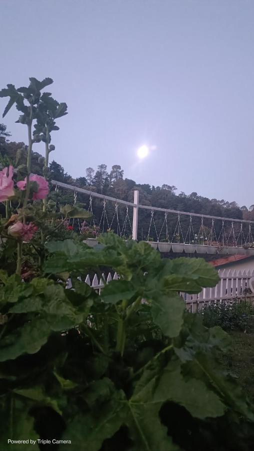 Mohraj Home Stay Bhowali 외부 사진