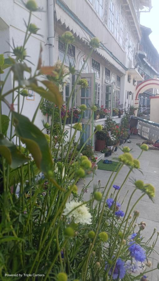 Mohraj Home Stay Bhowali 외부 사진
