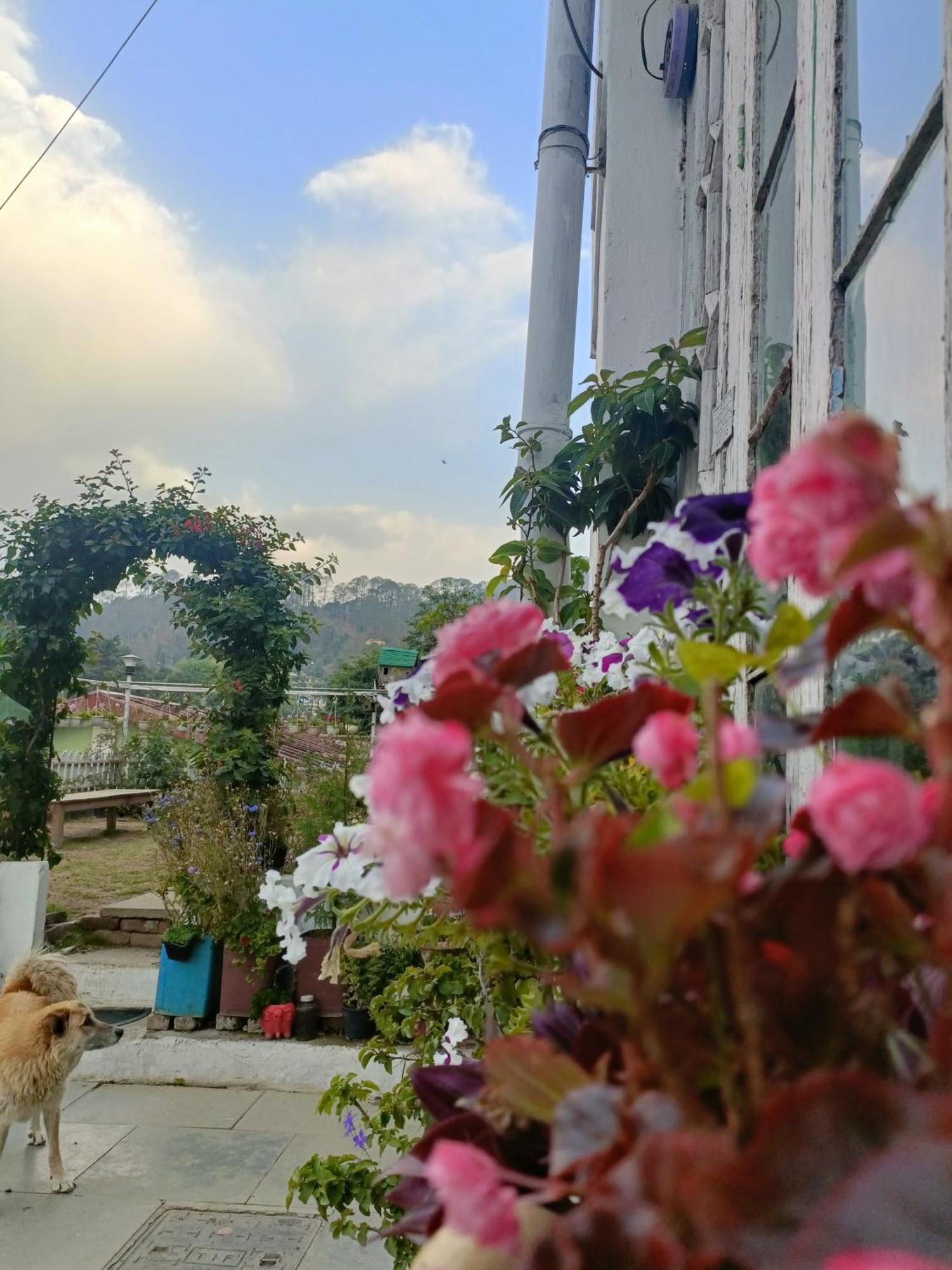 Mohraj Home Stay Bhowali 외부 사진
